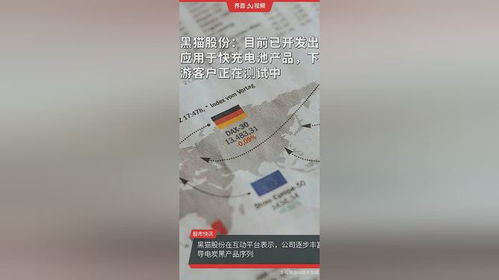 黑貓股份 目前已開發出應用于快充電池產品,下游客戶正在測試中